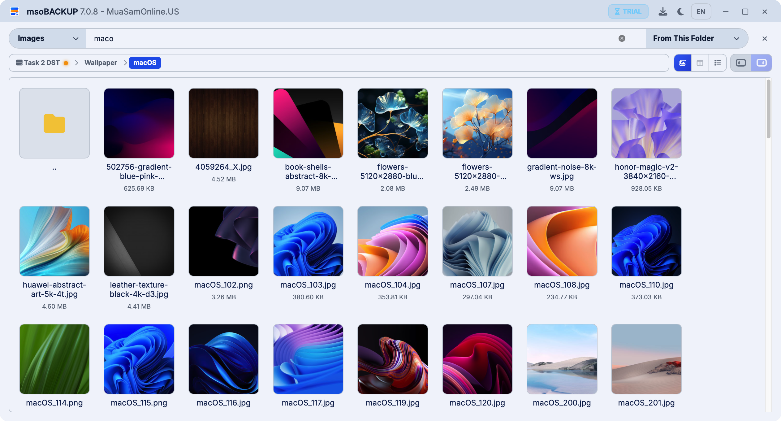 Giao diện sáng của SEEK Image Finder trong msoBACKUP